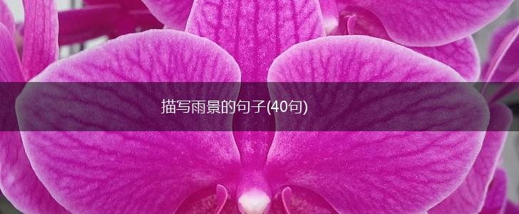 描写雨景的句子(40句),第1张