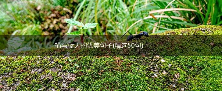 描写蓝天的优美句子(精选50句),第1张