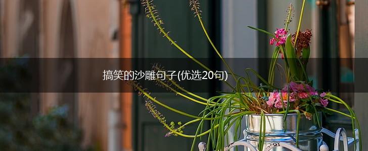 搞笑的沙雕句子(优选20句),第1张