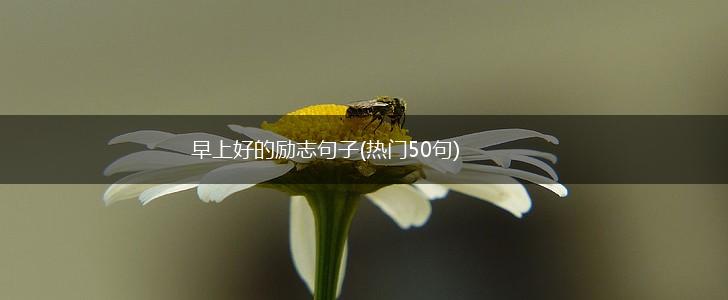 早上好的励志句子(热门50句),第1张