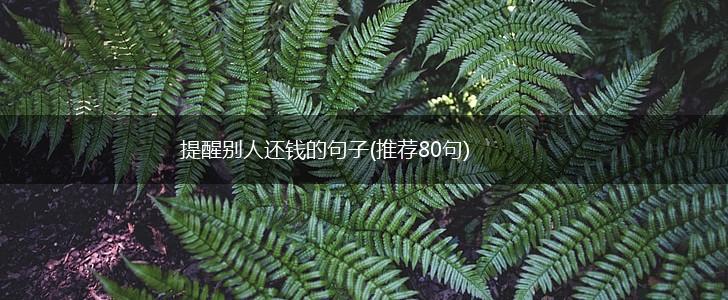 提醒别人还钱的句子(推荐80句),第1张