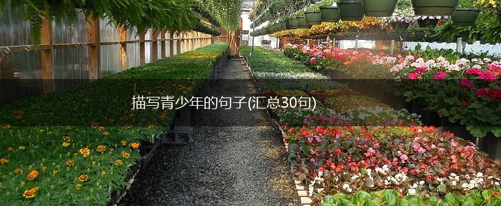 描写青少年的句子(汇总30句),第1张