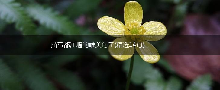 描写都江堰的唯美句子(精选14句),第1张