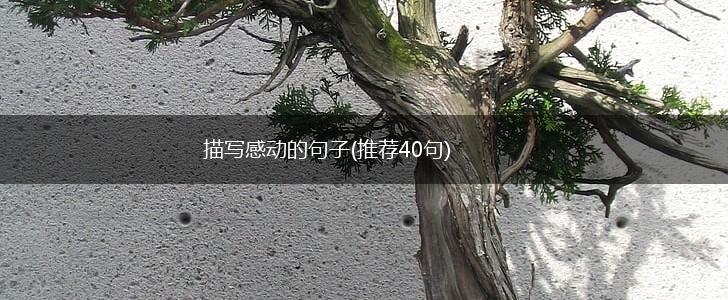 描写感动的句子(推荐40句),第1张