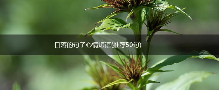 日落的句子心情短语(推荐50句),第1张