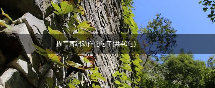 描写舞蹈动作的句子(共40句),第1张