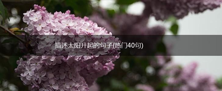 描述太阳升起的句子(热门40句),第1张