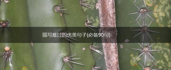 描写难过的优美句子(必备90句),第1张