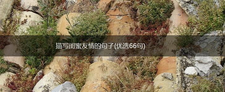 描写闺蜜友情的句子(优选66句),第1张