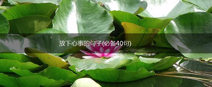 放下心事的句子(必备40句),第1张