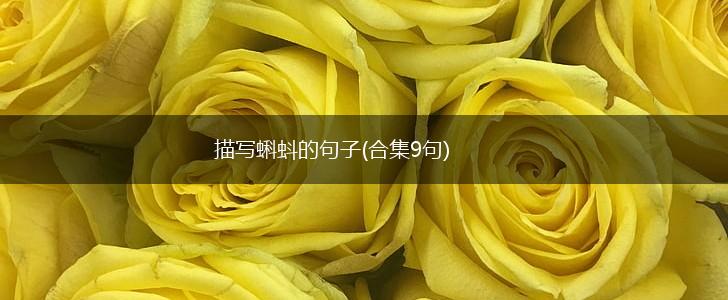 描写蝌蚪的句子(合集9句),第1张