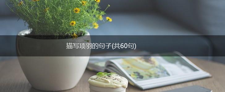 描写项羽的句子(共60句),第1张