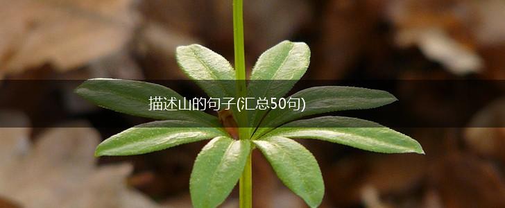 描述山的句子(汇总50句),第1张