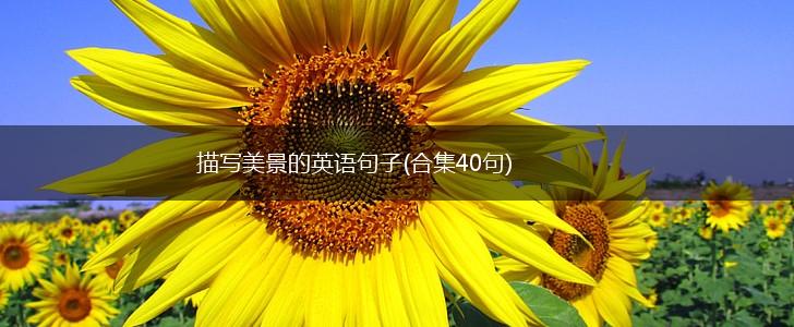 描写美景的英语句子(合集40句),第1张
