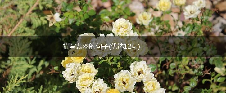 描写翡翠的句子(优选12句),第1张