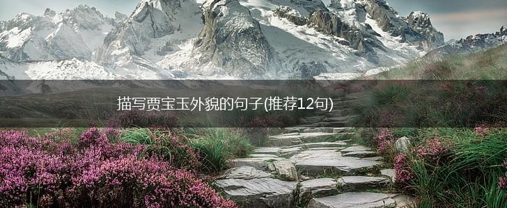 描写贾宝玉外貌的句子(推荐12句),第1张