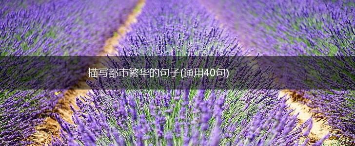 描写都市繁华的句子(通用40句),第1张