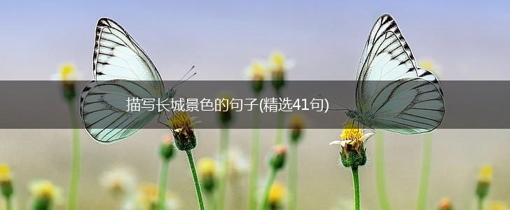 描写长城景色的句子(精选41句),第1张
