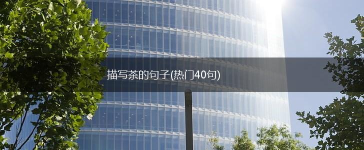 描写茶的句子(热门40句),第1张