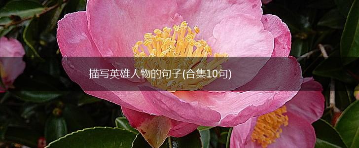 描写英雄人物的句子(合集10句),第1张