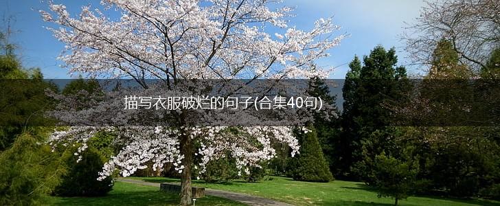 描写衣服破烂的句子(合集40句),第1张