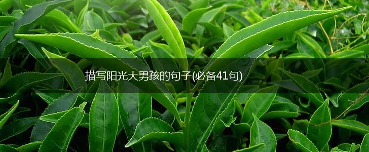 描写阳光大男孩的句子(必备41句),第1张
