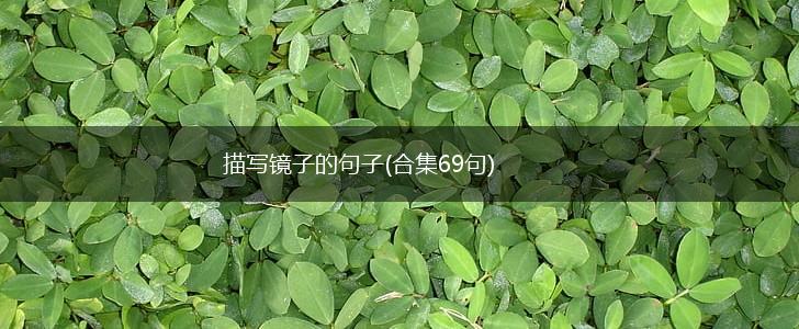 描写镜子的句子(合集69句),第1张