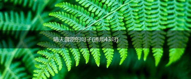 晴天霹雳的句子(通用43句),第1张