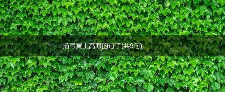 描写黄土高原的句子(共9句),第1张