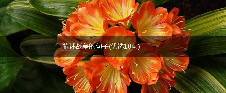 描述战争的句子(优选10句),第1张