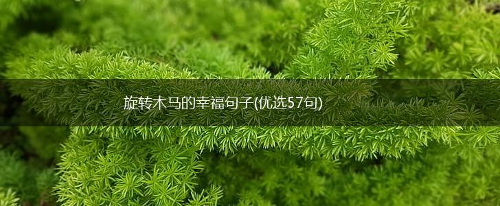 旋转木马的幸福句子(优选57句),第1张