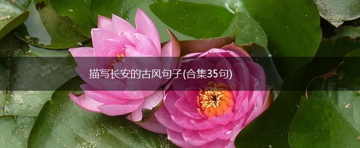 描写长安的古风句子(合集35句),第1张