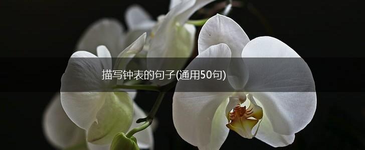 描写钟表的句子(通用50句),第1张