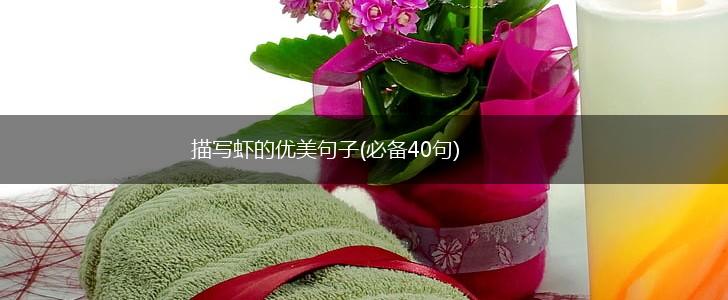 描写虾的优美句子(必备40句),第1张