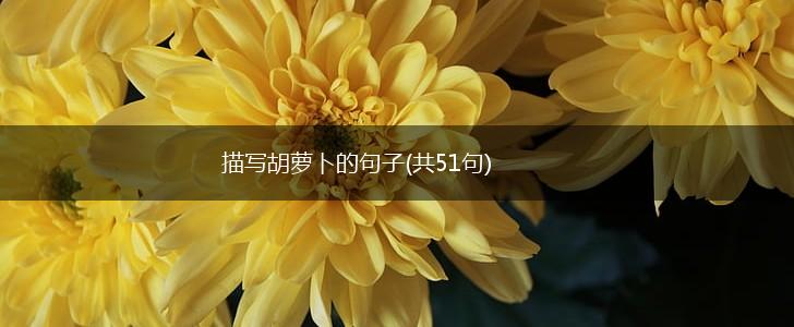描写胡萝卜的句子(共51句),第1张