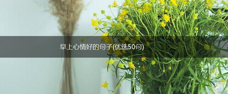 早上心情好的句子(优选50句),第1张