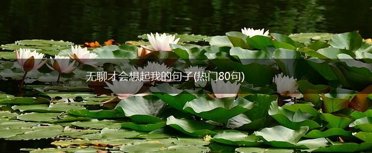 无聊才会想起我的句子(热门80句),第1张