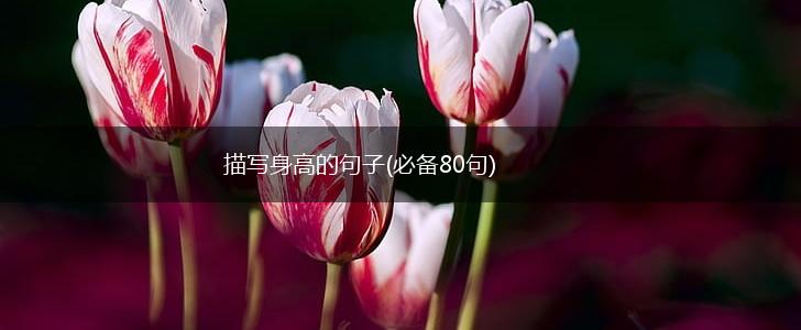 描写身高的句子(必备80句),第1张