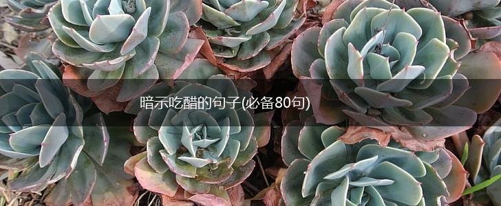暗示吃醋的句子(必备80句),第1张