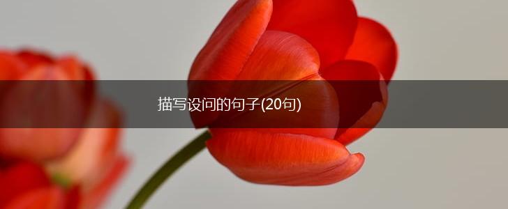 描写设问的句子(20句),第1张