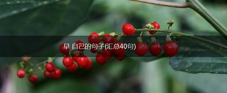 早 自己的句子(汇总40句),第1张