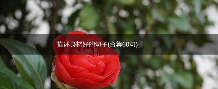 描述身材好的句子(合集60句),第1张