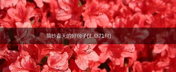 摘抄春天的好句子(汇总71句),第1张