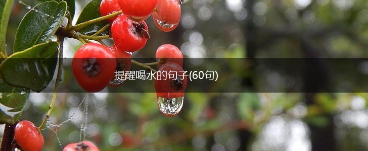提醒喝水的句子(60句),第1张