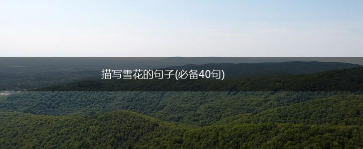 描写雪花的句子(必备40句),第1张