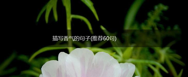 描写香气的句子(推荐60句),第1张