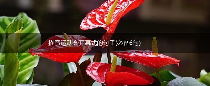 描写运动会开幕式的句子(必备6句),第1张
