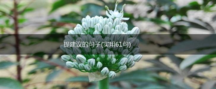 提建议的句子(实用61句),第1张