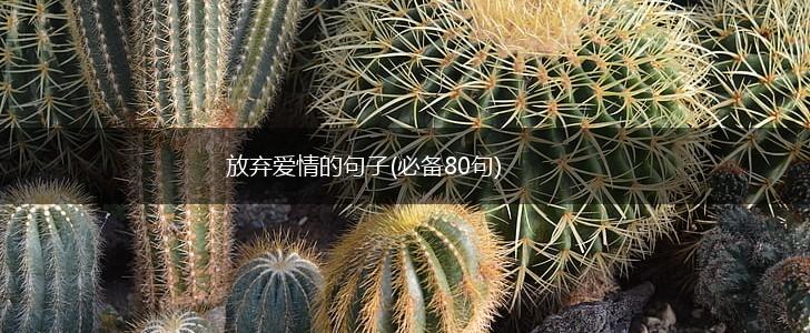 放弃爱情的句子(必备80句),第1张