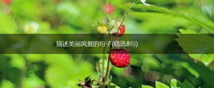 描述美丽风景的句子(精选8句),第1张